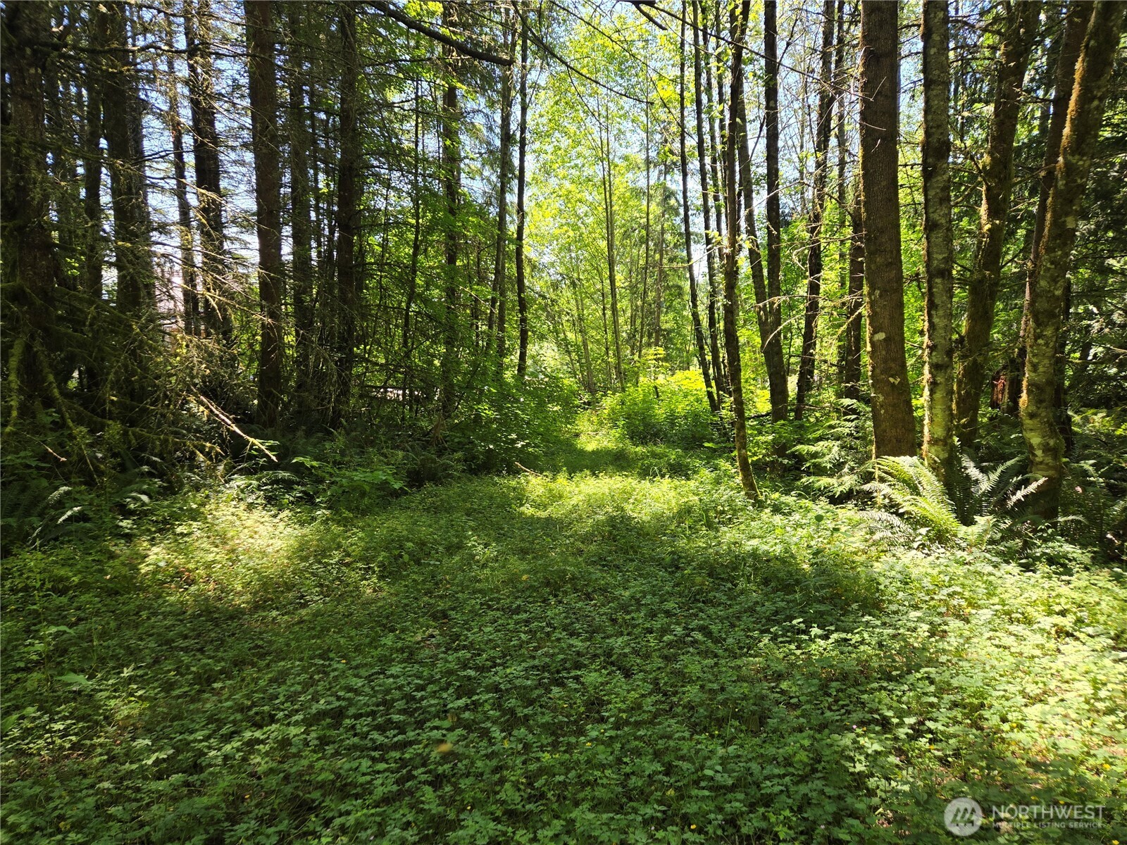 228 W King Lake Road Monroe WA 98272