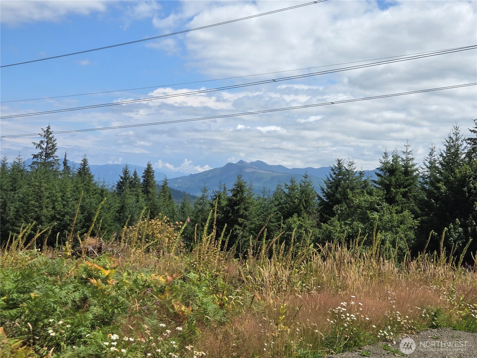 228 W King Lake Road Monroe WA 98272