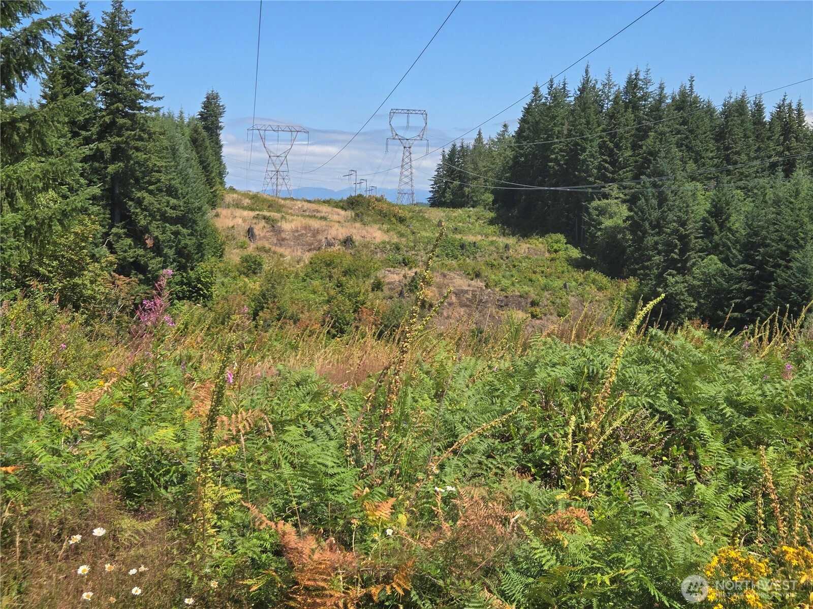 228 W King Lake Road Monroe WA 98272