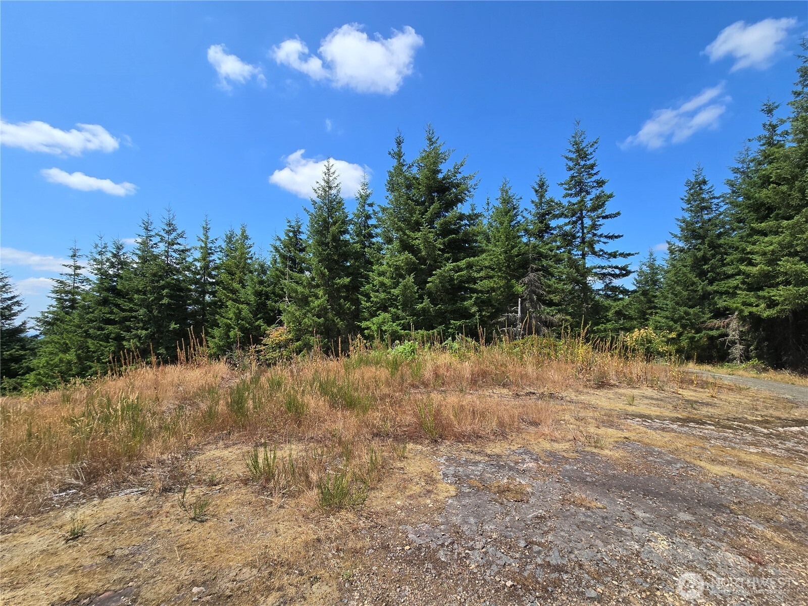 228 W King Lake Road Monroe WA 98272