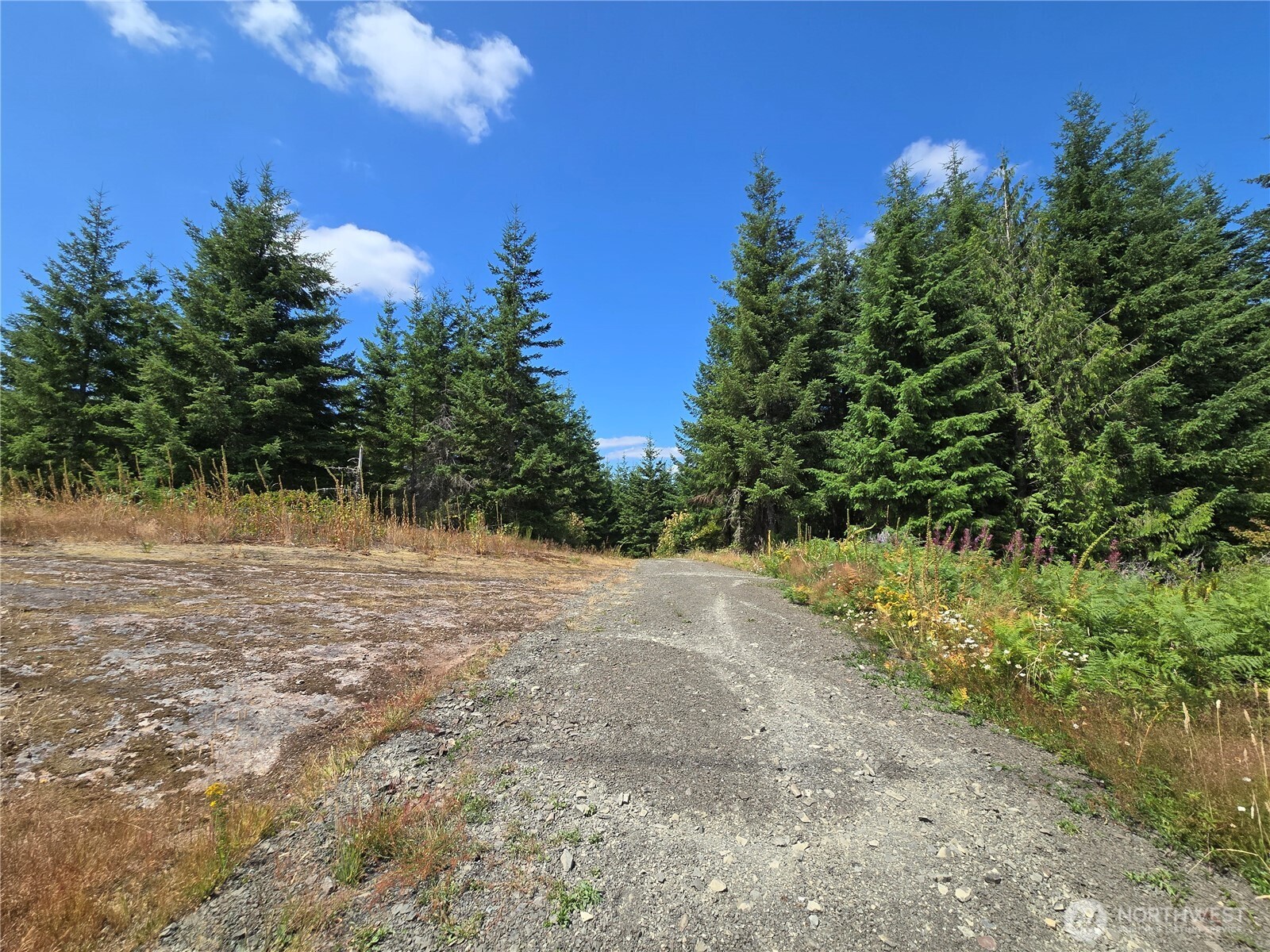 228 W King Lake Road Monroe WA 98272