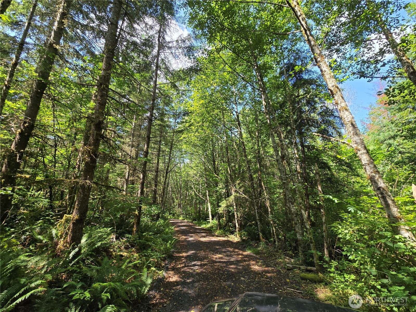 228 W King Lake Road Monroe WA 98272