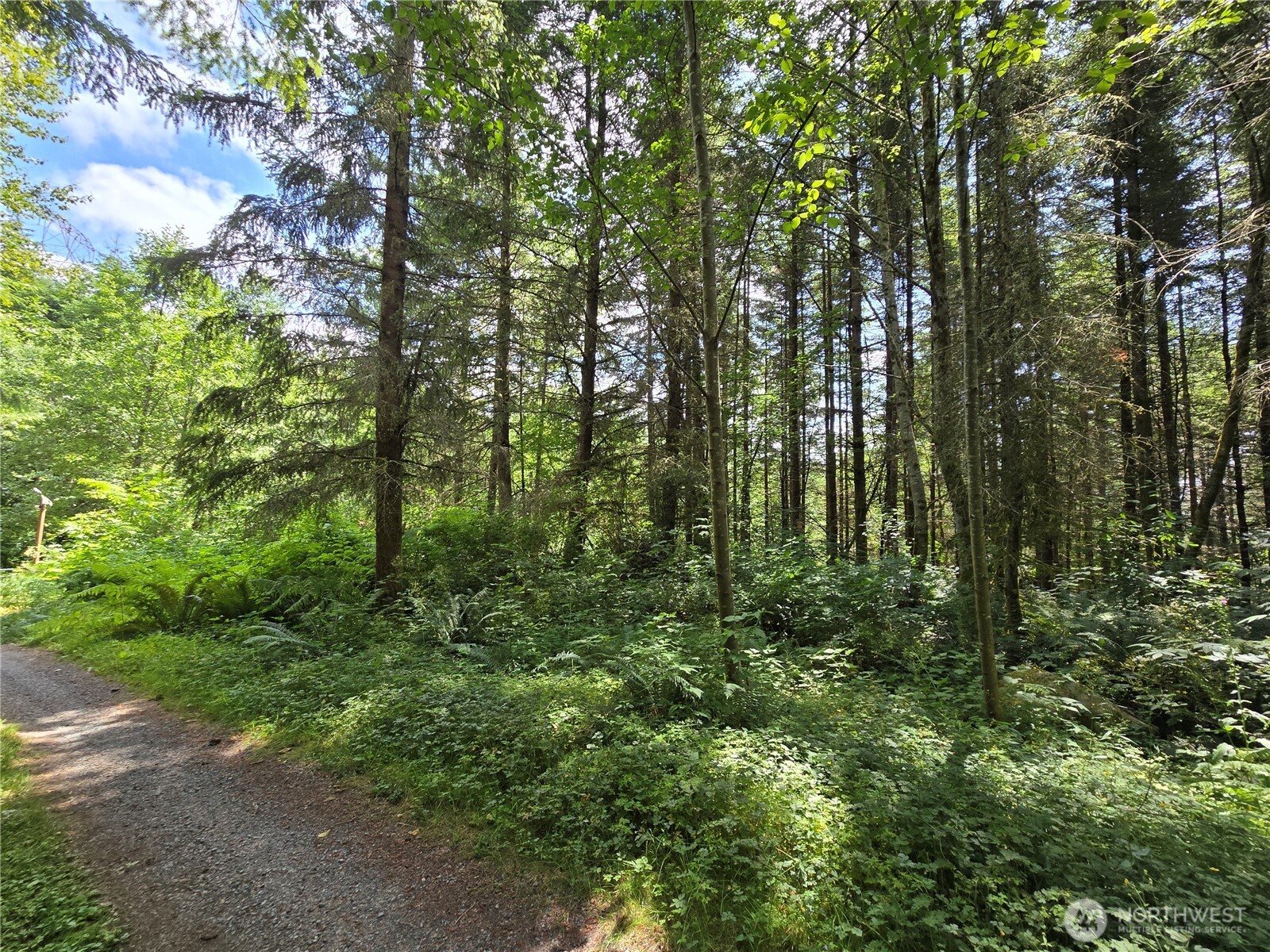 228 W King Lake Road Monroe WA 98272