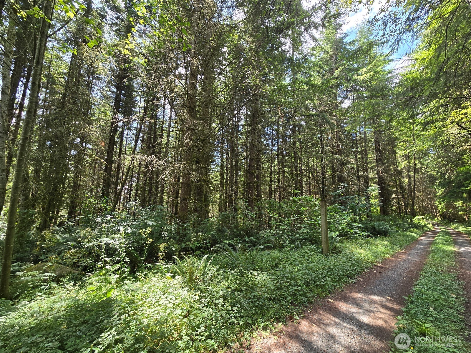 228 W King Lake Road Monroe WA 98272