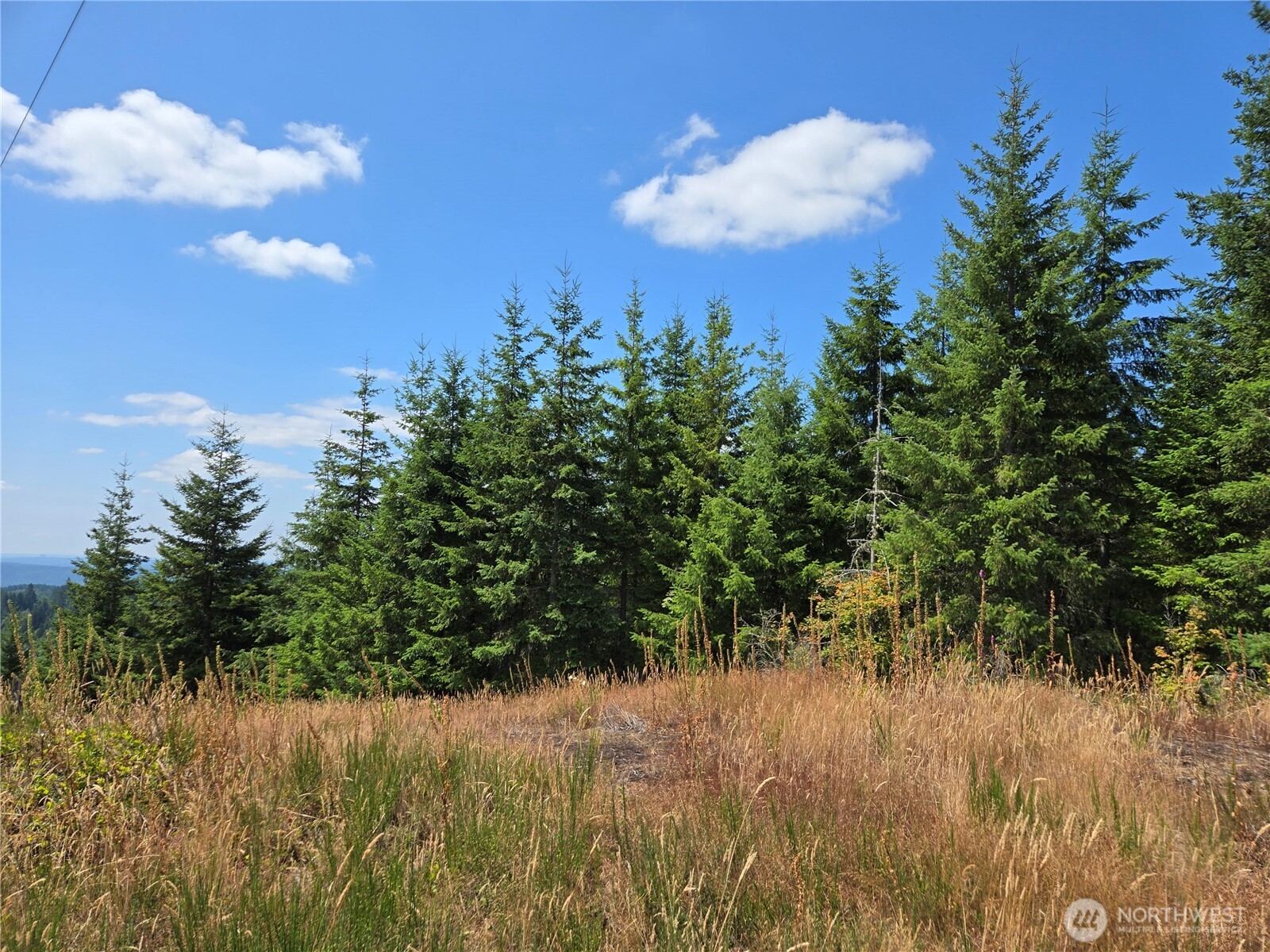 228 W King Lake Road Monroe WA 98272