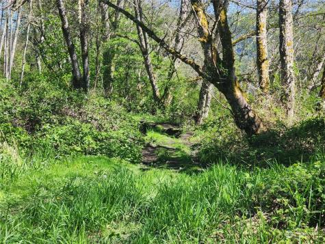29405 Orville Orting WA 98360