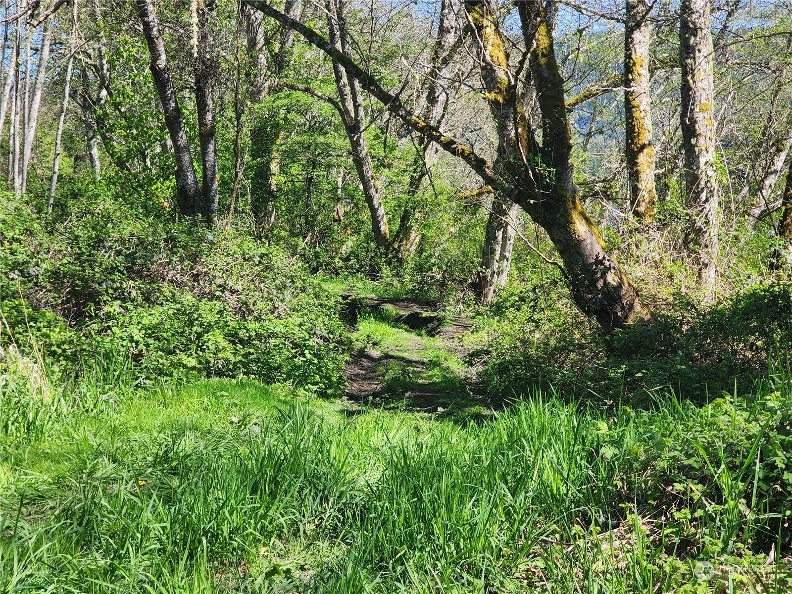 29405 Orville Road E Orting WA 98360