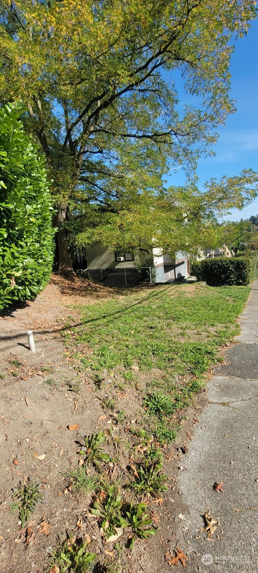 2602 E Thomas Street Seattle WA 98112