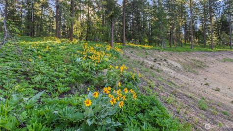 25 Foxridge Lane Leavenworth WA 98826