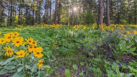 25 Foxridge Lane Leavenworth WA 98826