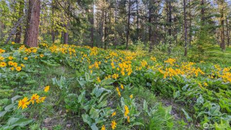 25 Foxridge Lane Leavenworth WA 98826