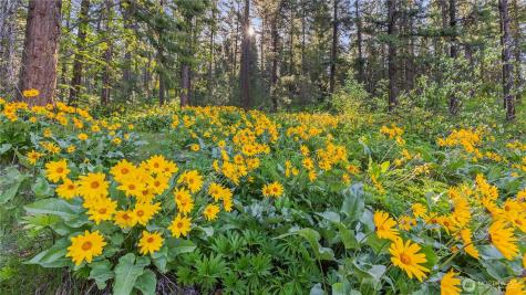 25 Foxridge Lane Leavenworth WA 98826