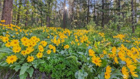 25 Foxridge Lane Leavenworth WA 98826