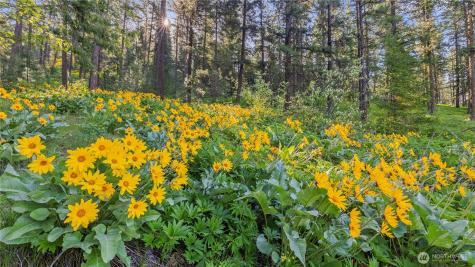 25 Foxridge Lane Leavenworth WA 98826