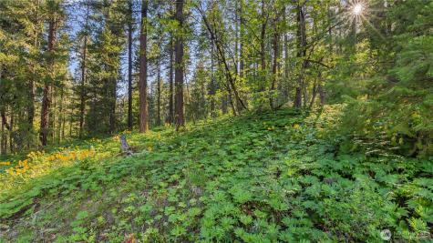 25 Foxridge Lane Leavenworth WA 98826