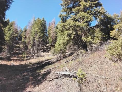 0 Cougar Loop Drive Tonasket WA 98855