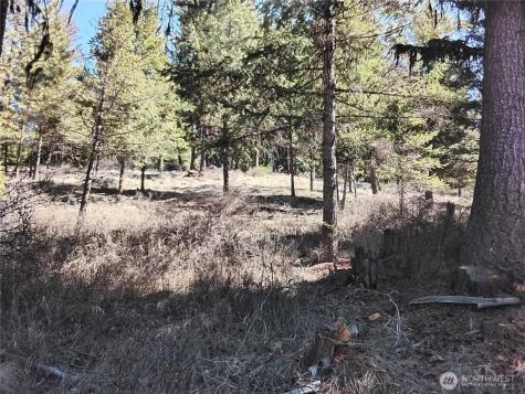 0 Cougar Loop Drive Tonasket WA 98855