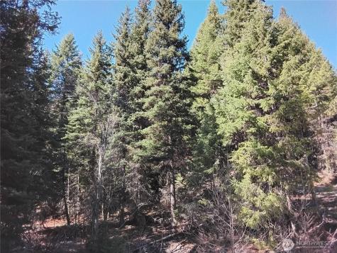 0 Cougar Loop Drive Tonasket WA 98855