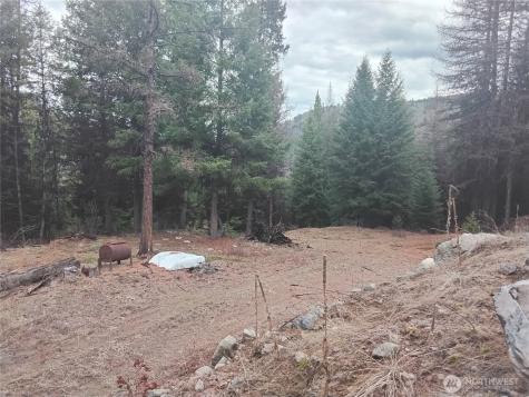 0 Cougar Loop Drive Tonasket WA 98855