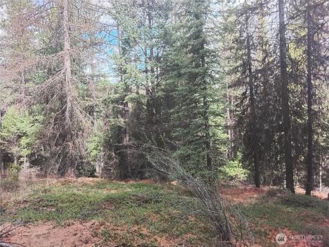 0 Cougar Loop Drive Tonasket WA 98855