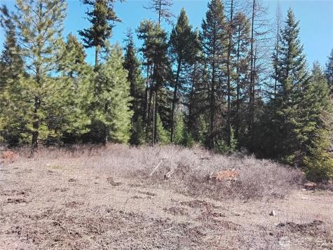 0 Cougar Loop Drive Tonasket WA 98855