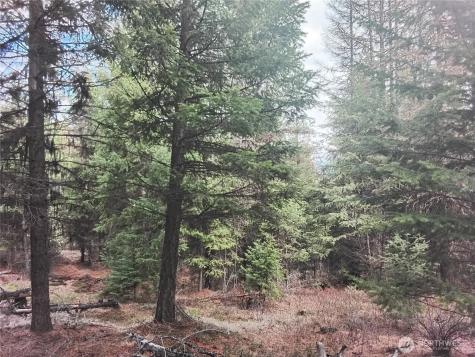 0 Cougar Loop Drive Tonasket WA 98855