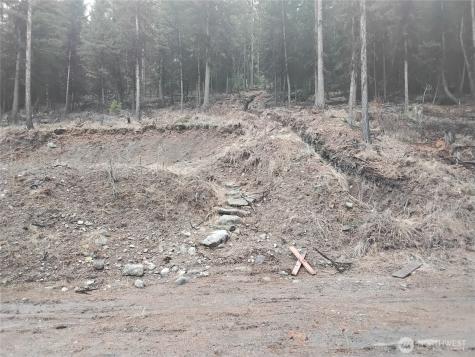 0 Cougar Loop Drive Tonasket WA 98855