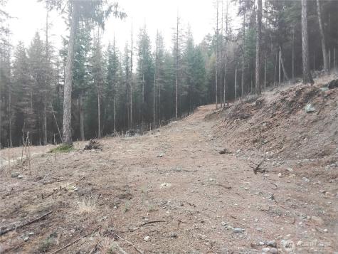 0 Cougar Loop Drive Tonasket WA 98855