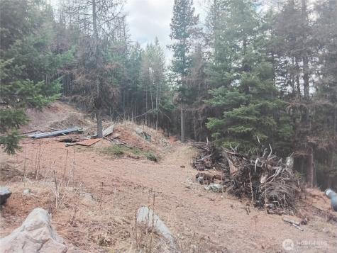 0 Cougar Loop Drive Tonasket WA 98855