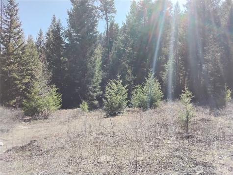 0 Cougar Loop Drive Tonasket WA 98855