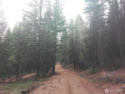 0 Cougar Loop Drive Tonasket WA 98855