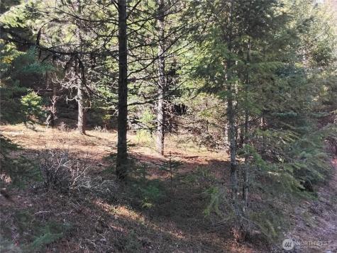 0 Cougar Loop Drive Tonasket WA 98855