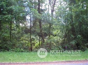 10824 Suncrest Drive Anderson Island WA 98303