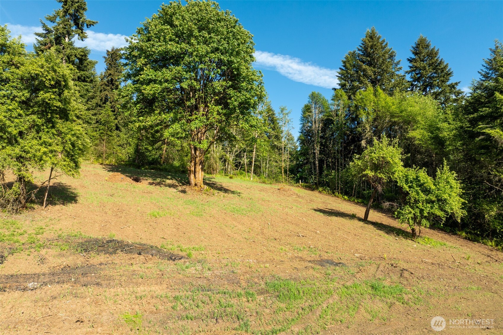 0 Lenora Lane Kelso WA 98626