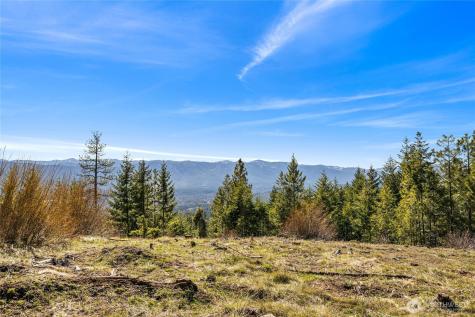 81 Forest Ridge (Lot 81) Drive Cle Elum WA 98922