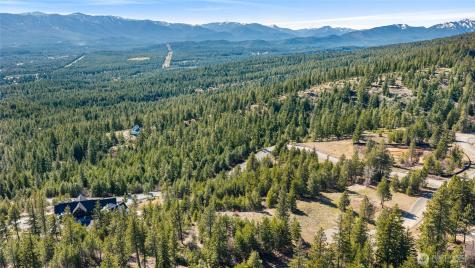 81 Forest Ridge (Lot 81) Drive Cle Elum WA 98922