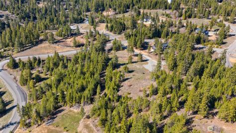 81 Forest Ridge (Lot 81) Drive Cle Elum WA 98922