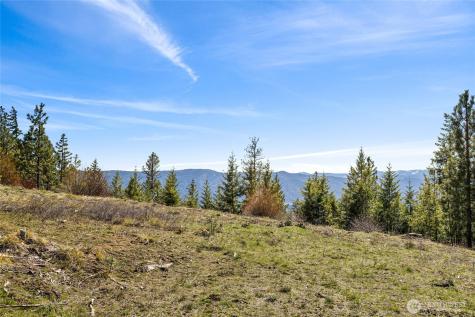 81 Forest Ridge (Lot 81) Drive Cle Elum WA 98922