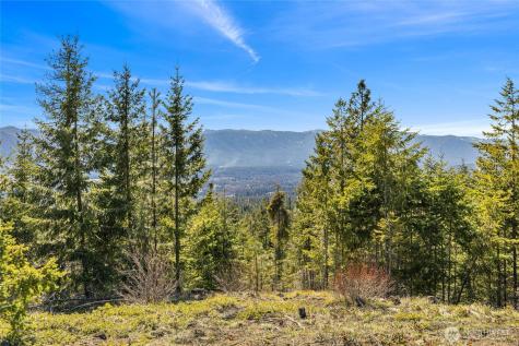81 Forest Ridge (Lot 81) Drive Cle Elum WA 98922
