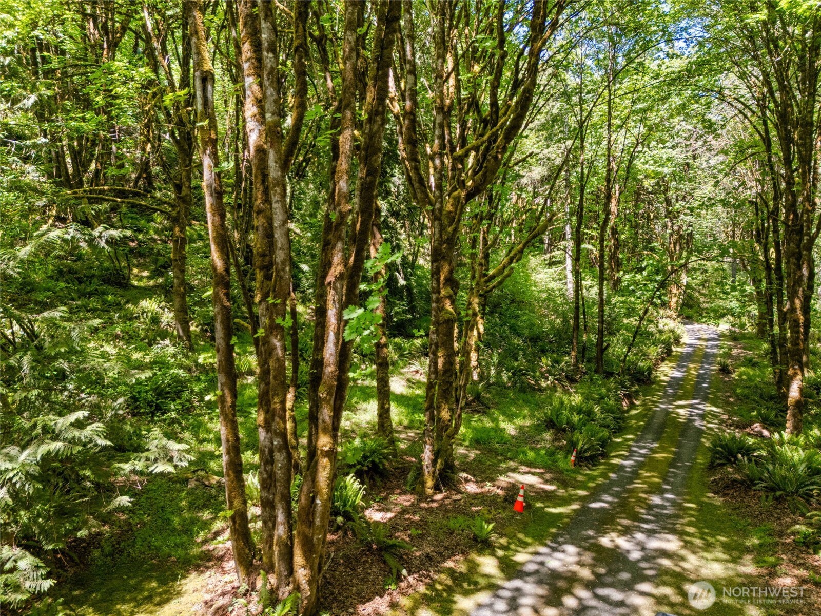 4937 Black Lake Boulevard SW Olympia WA 98512
