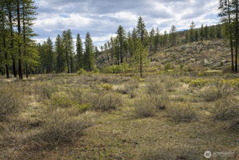 1 N Cook Mt Road Okanogan WA 98840