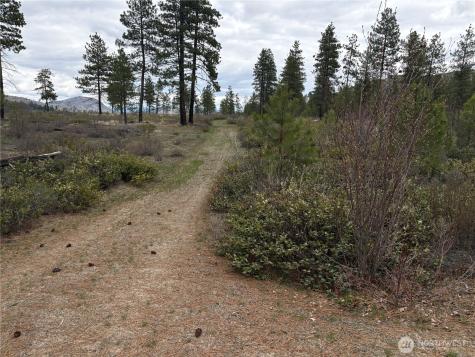 1 N Cook Mt Road Okanogan WA 98840