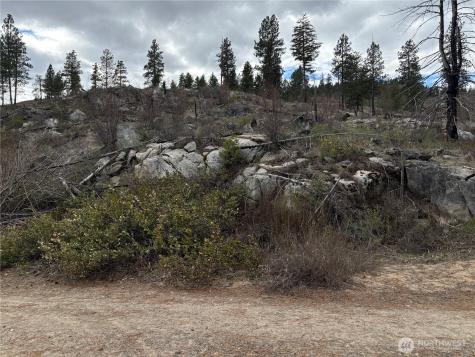 1 N Cook Mt Road Okanogan WA 98840