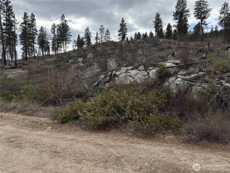 1 N Cook Mt Road Okanogan WA 98840
