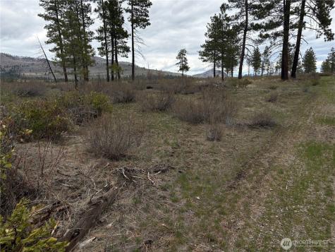 1 N Cook Mt Road Okanogan WA 98840