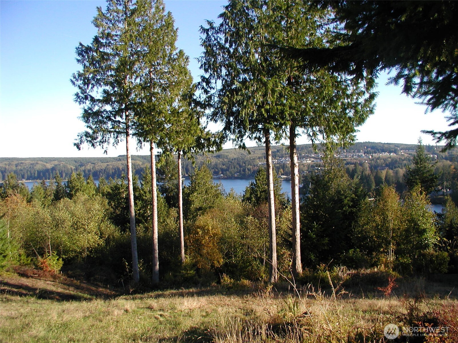 103 Wells Ridge Court Port Ludlow WA 98365