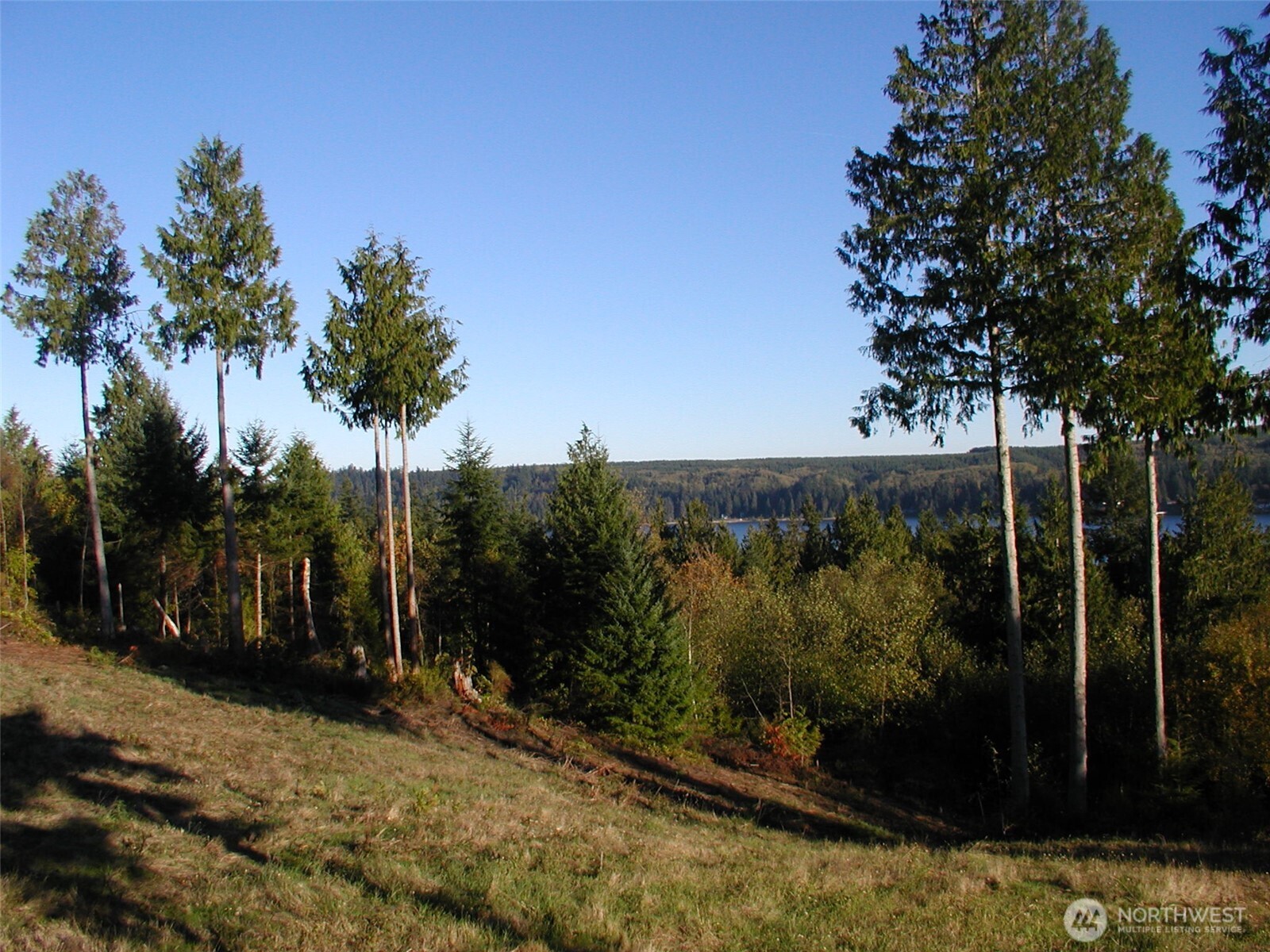 103 Wells Ridge Court Port Ludlow WA 98365