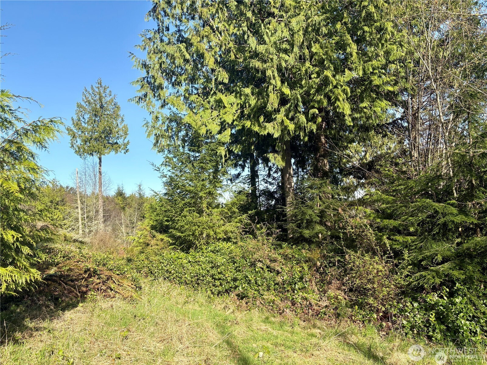 103 Wells Ridge Court Port Ludlow WA 98365