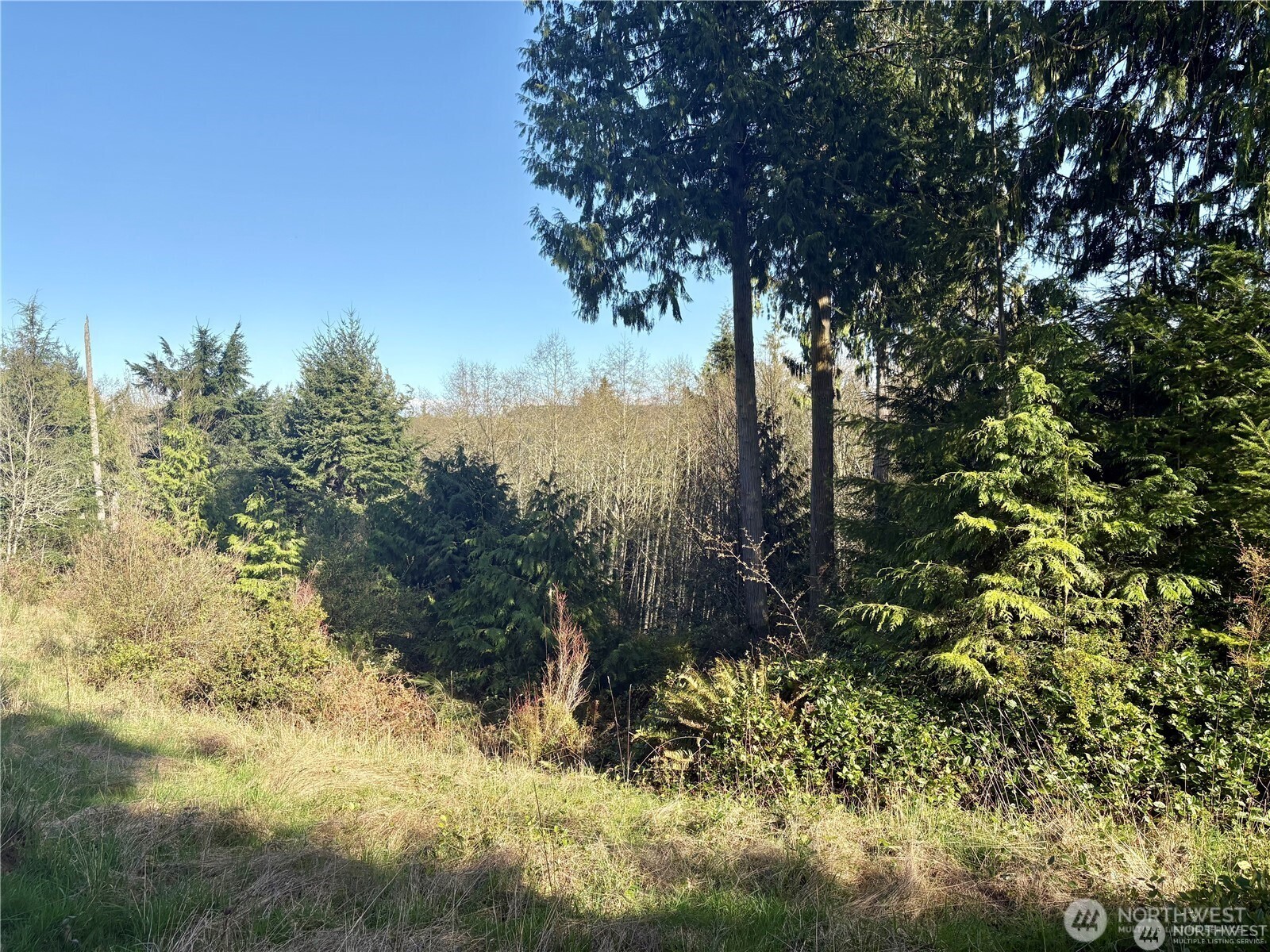 103 Wells Ridge Court Port Ludlow WA 98365