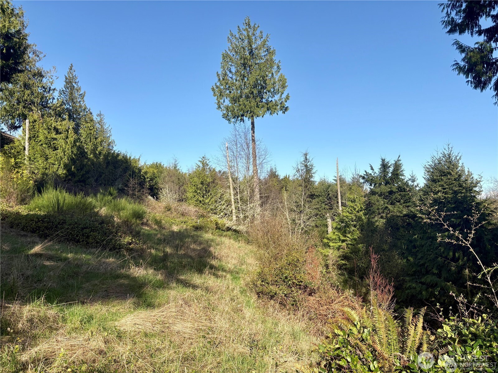 103 Wells Ridge Court Port Ludlow WA 98365